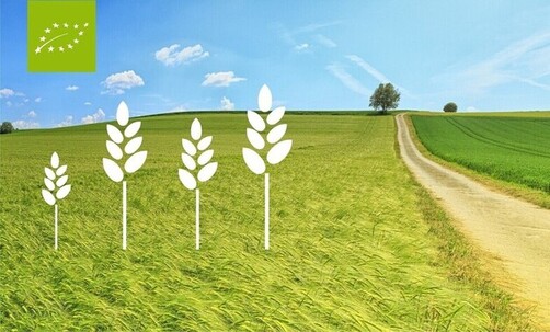 Picture with green meadow, pictogram with ears and eco symbol