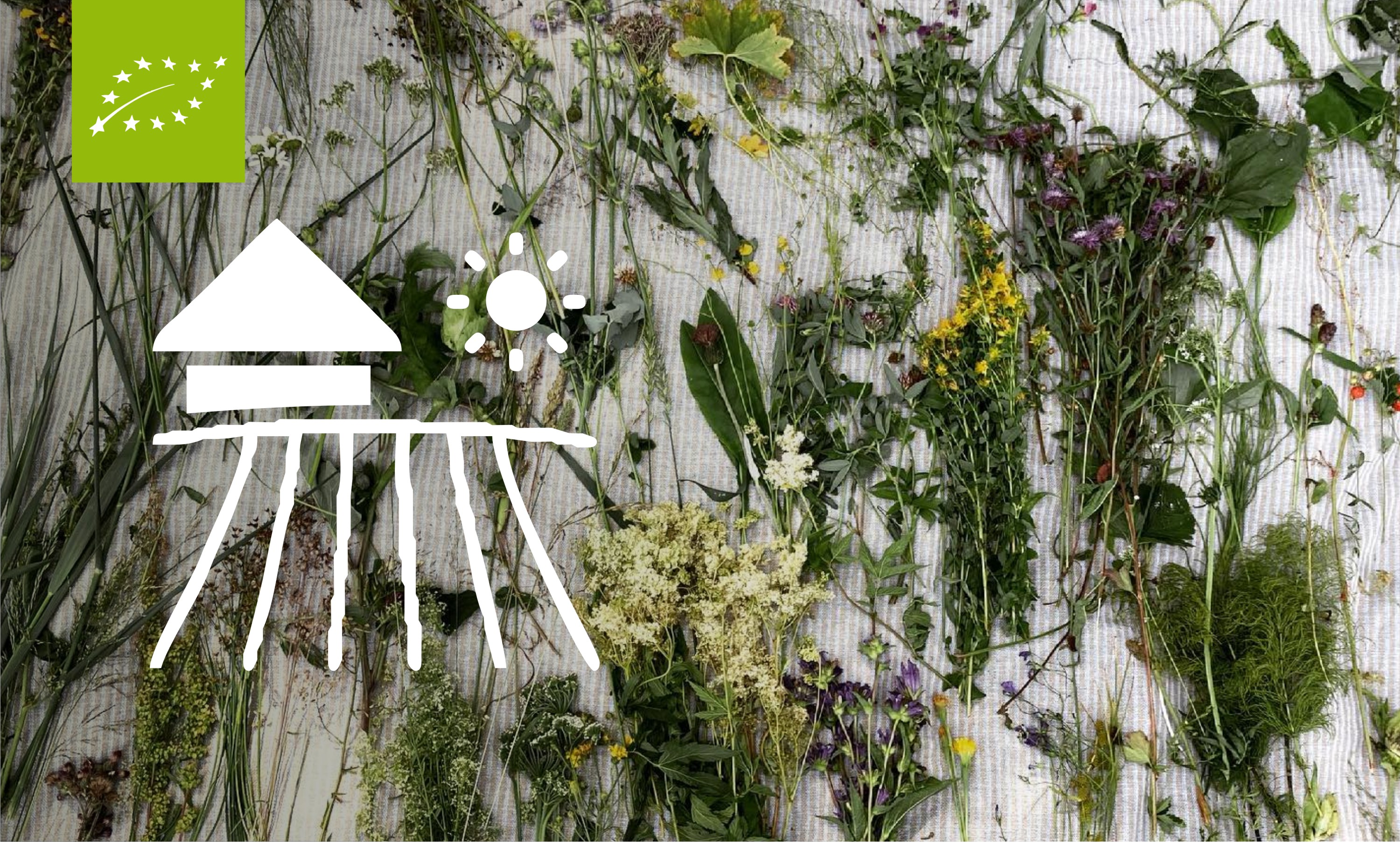 Picture with plants, pictogram with farm, eco symbol