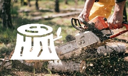 Picture - sawing a tree with a chainsaw, pictogram with a stump