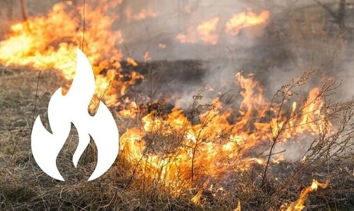 Attēls ar degošu zāli, piktogramma ar uguni