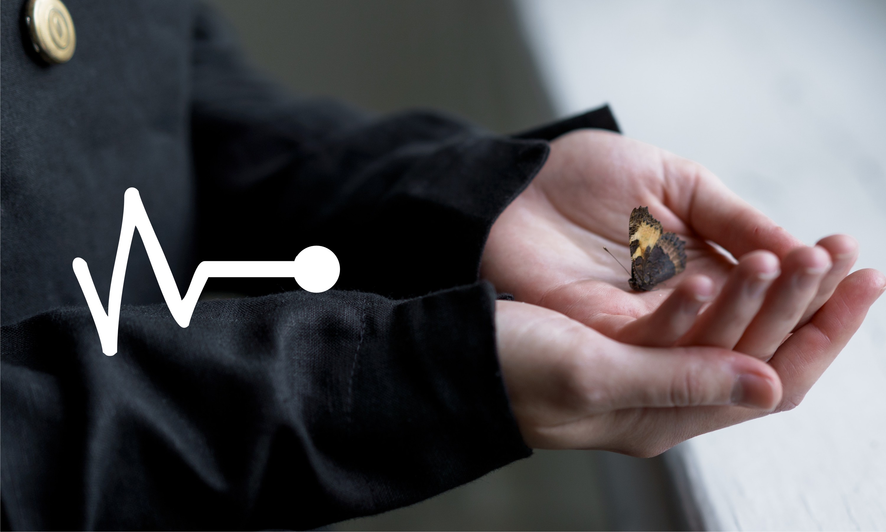 Butterfly in the palm of the hand, icon heart rate curve